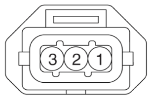 G12915406