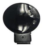 G12975361