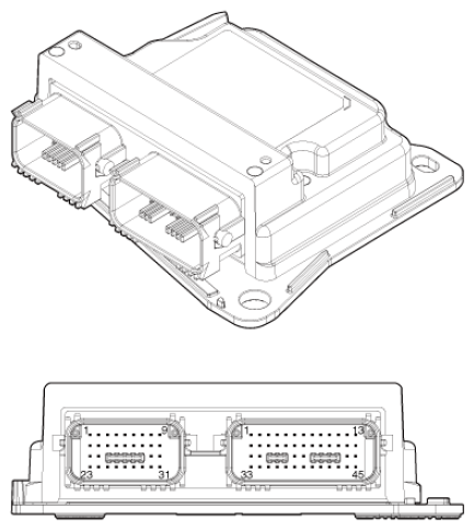 G12993681