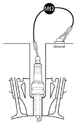 G13015292