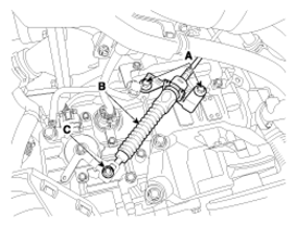 G13035206