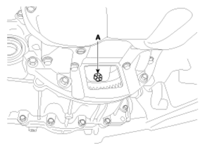 G13035216