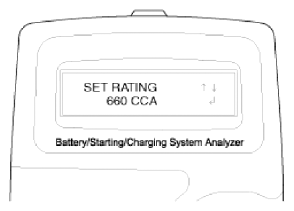 G13036676
