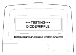 G13036690