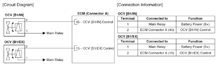 G13036976