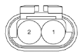 G13036981