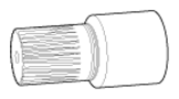 G13039297