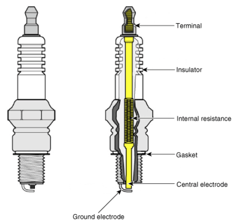 G13039309