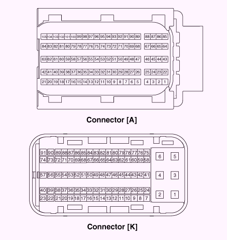 G13044202