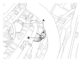 G13044248