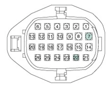G13044625