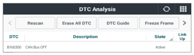 G13049718