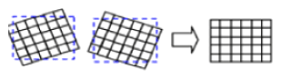 G13054406