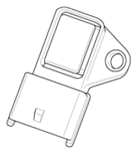 G13055523