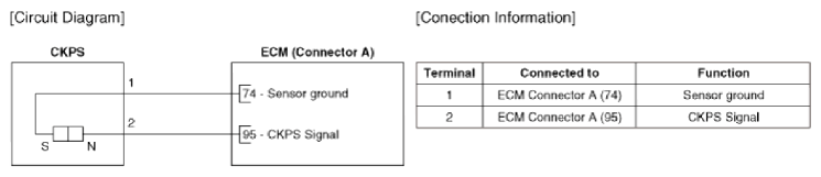 G13055539
