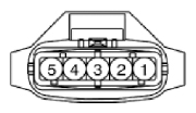 G13055590