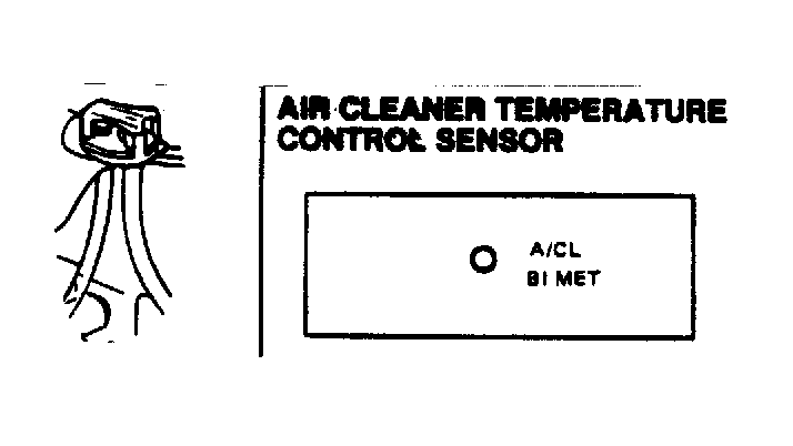 G13065