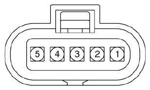 G13077595