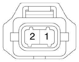 G13077646