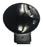G13082496