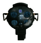 G13082498