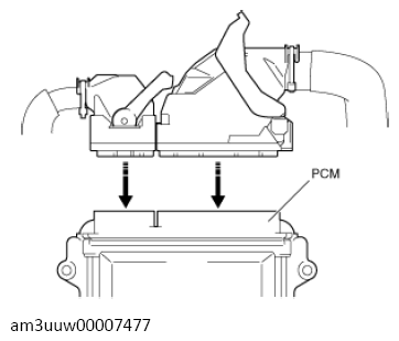 G13111342