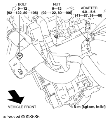 G13119195