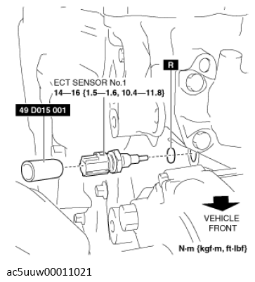 G13119197