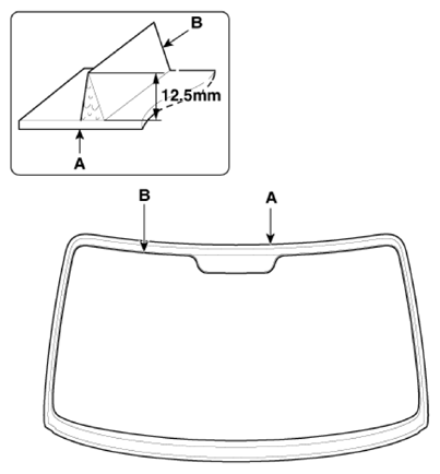G13128218