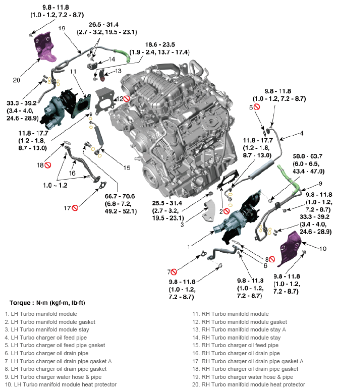 G13142848
