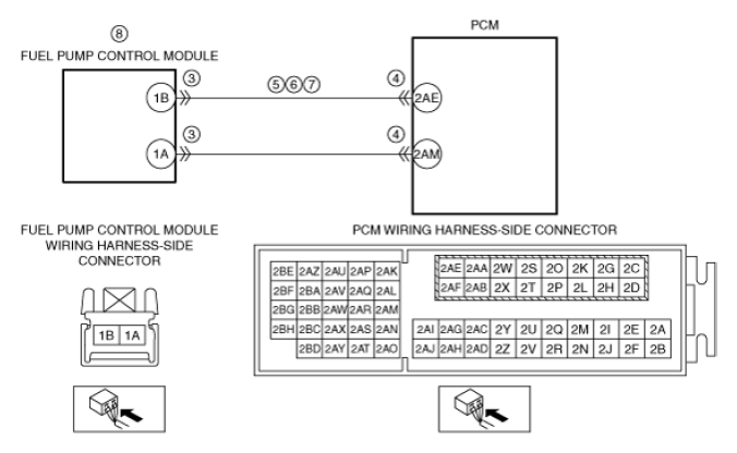 G13148795