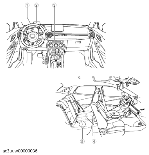 G13153751
