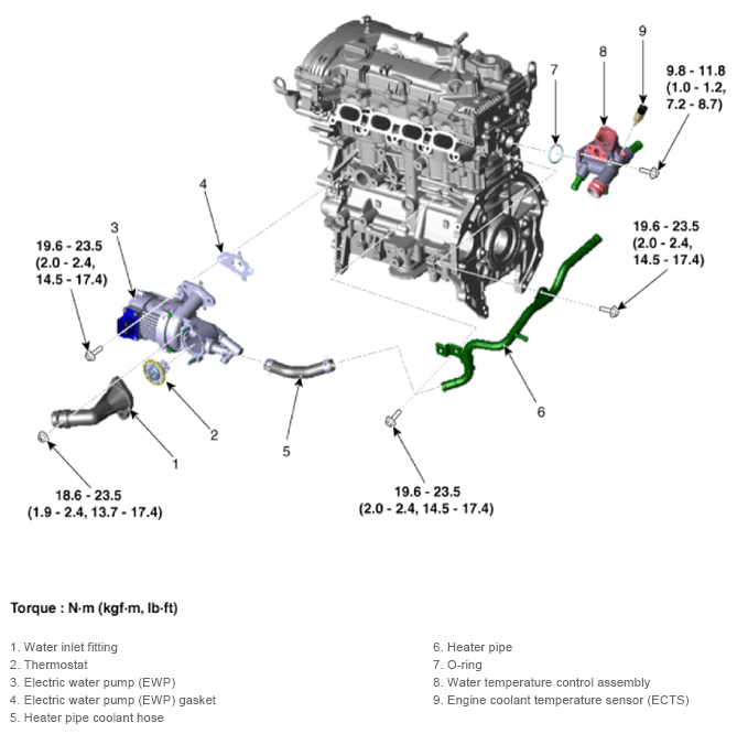 G13154992
