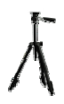 G13155411