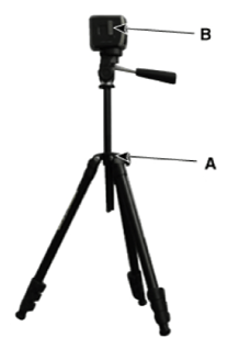 G13155436