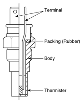 G13155721