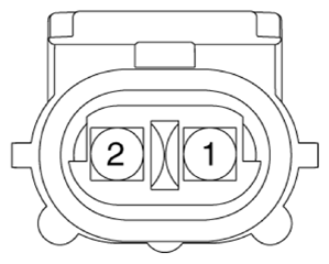 G13155740