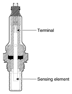 G13155743