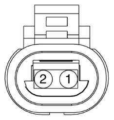 G13155788
