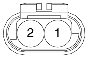 G13155789