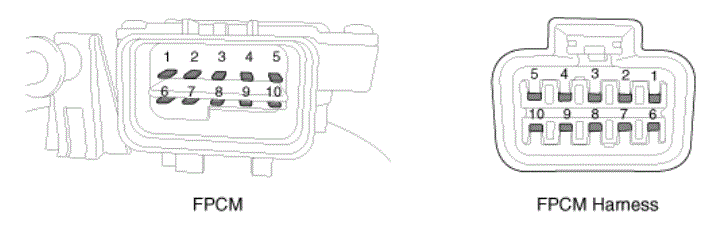 G13155871