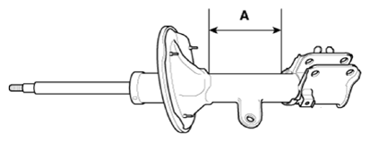 G13156405