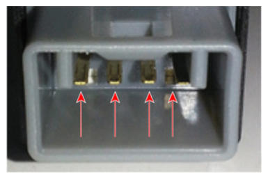 G13156927