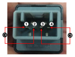 G13156928