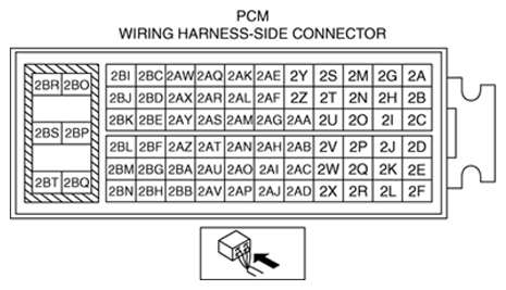 G13174067