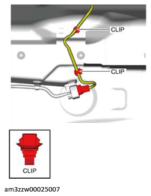 G13175454