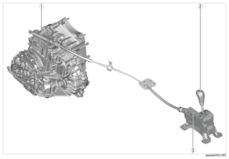 G13176972
