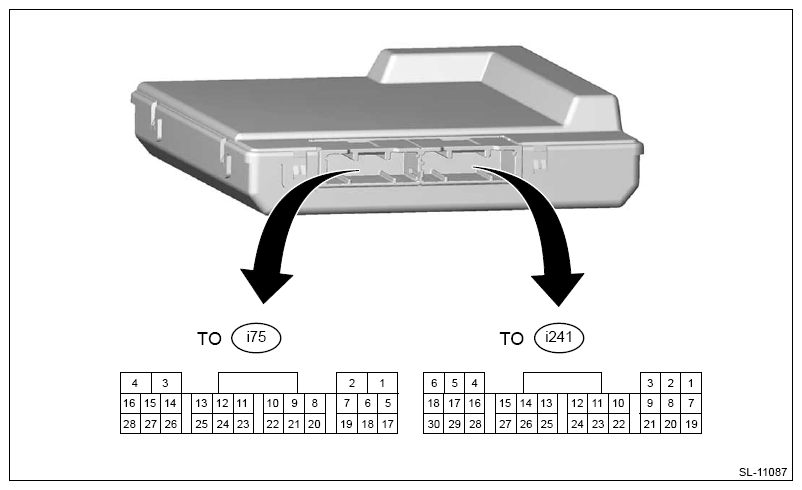 G13203336