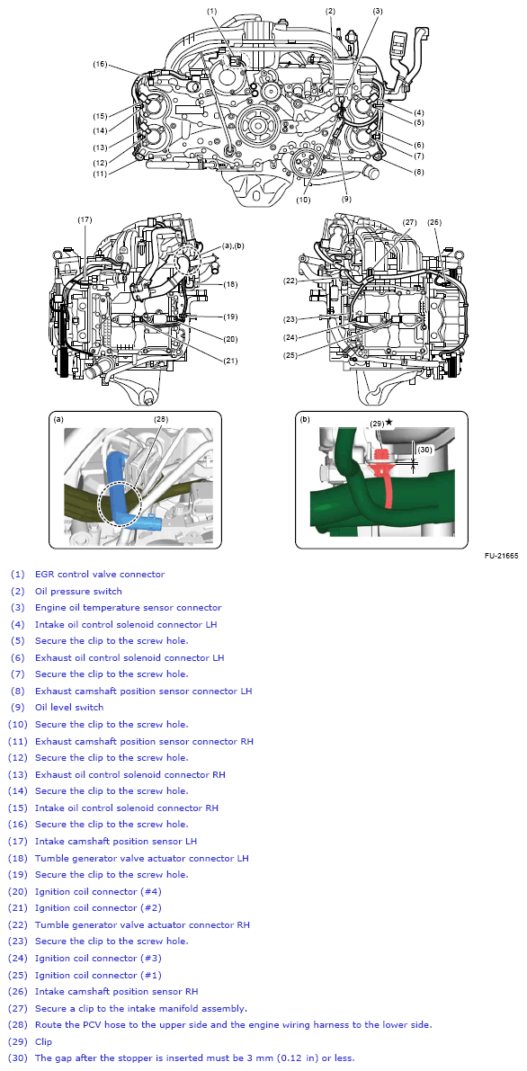 G13229528