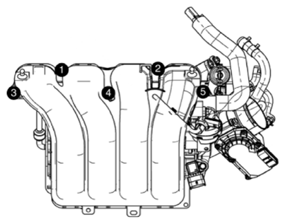 G13283525
